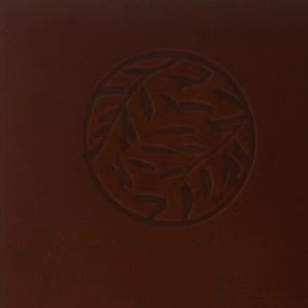 NWT Brown leather Embossed Journal